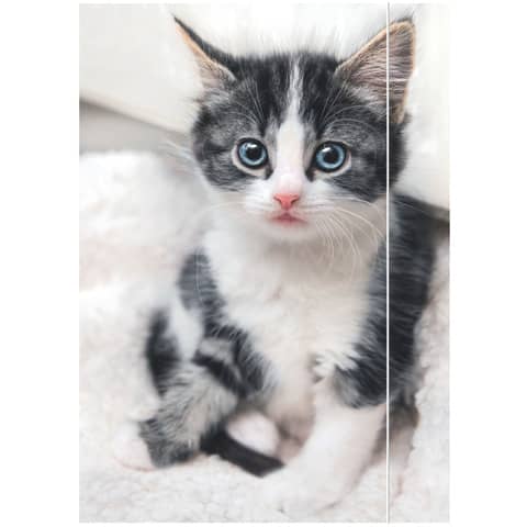 Zeichenmappe Katze – A3, 3 Klappen mit Gummizug, Karton