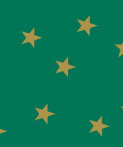 Fotokarton „goldene Sterne“ – 50x70cm, grün