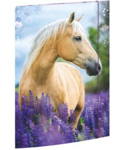 Gummizugmappe – A3, Pferdeträume