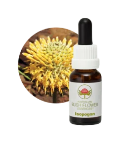 AU Isopogon, 15ml