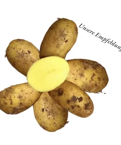 Annabelle Speisekartoffeln mit roter Erde – festkochend -geeigent für Spargel