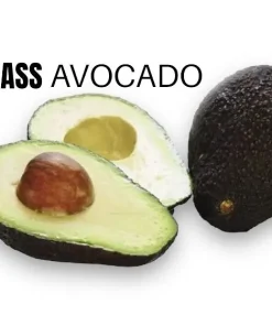 Hass Avocado groß- Premium Qualität – 300g