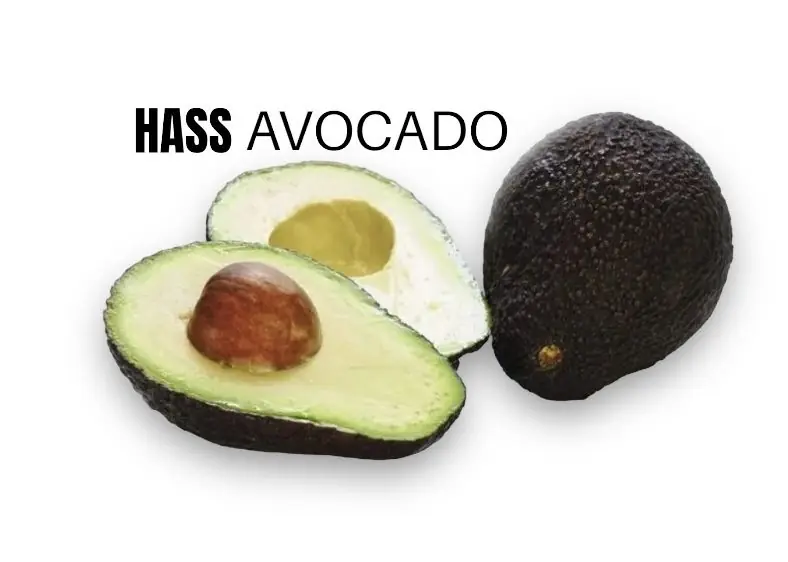 Hass Avocado groß- Premium Qualität – 300g