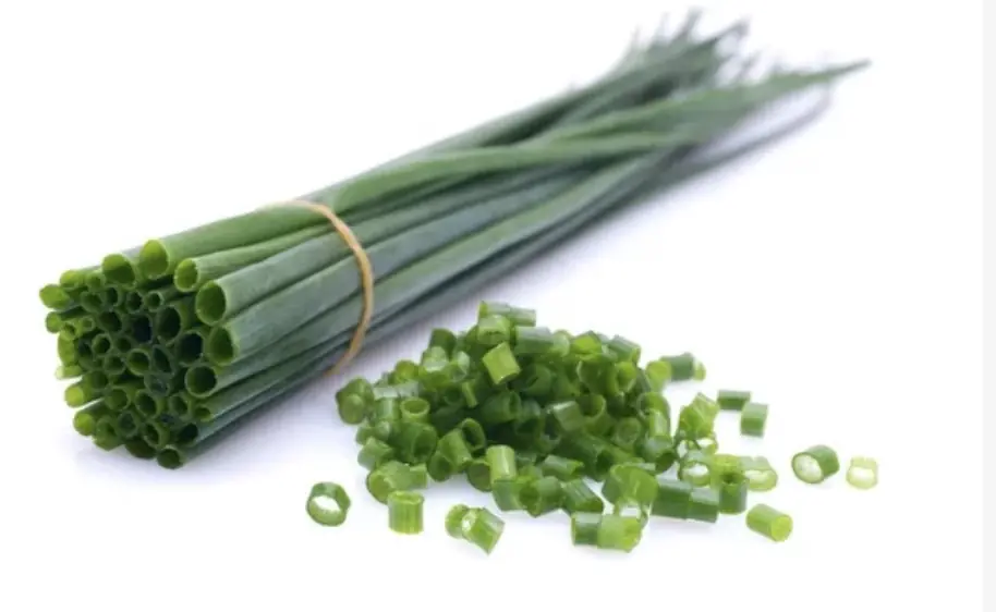 Schnittlauch Regional – Bund