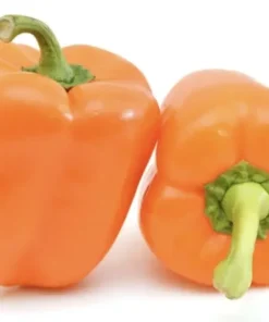 Knackfrische Paprika -orange – aromatisch