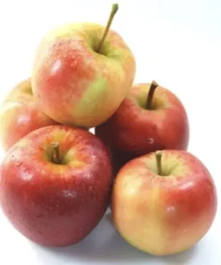 Elstar Apfel – süss-säuerlich – Deutschland