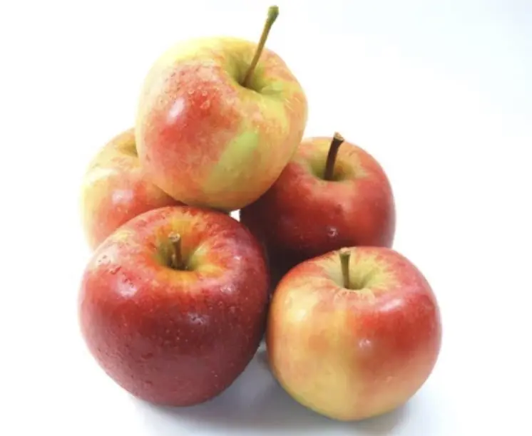 Elstar Apfel – süss-säuerlich – Deutschland