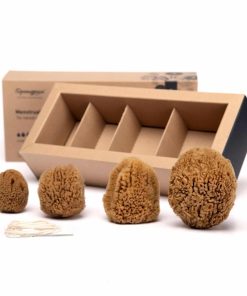 <strong>Menstruationsschwamm 4 Set </strong> inkl. Nadel und Schnur