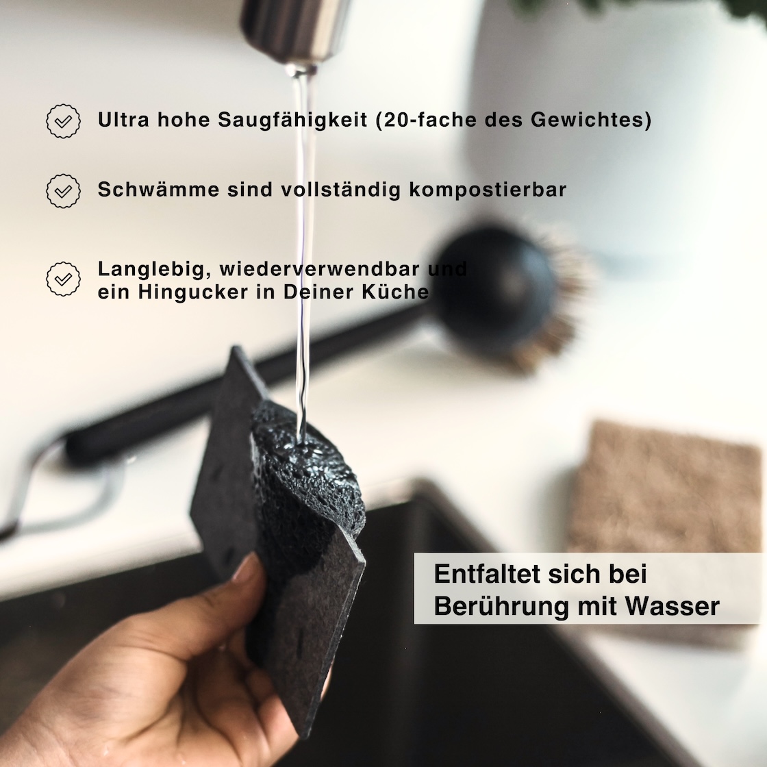 Pop Up Schwamm NORDESIGN – Bild 4