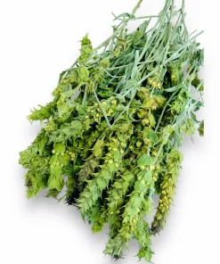 Bergtee Bio – wild – mild – 100 % Organic