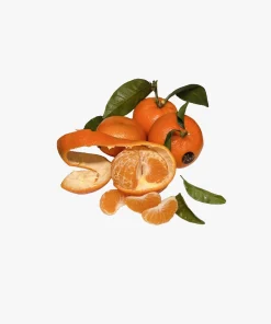 Mandarine Tango – ohne Kerne