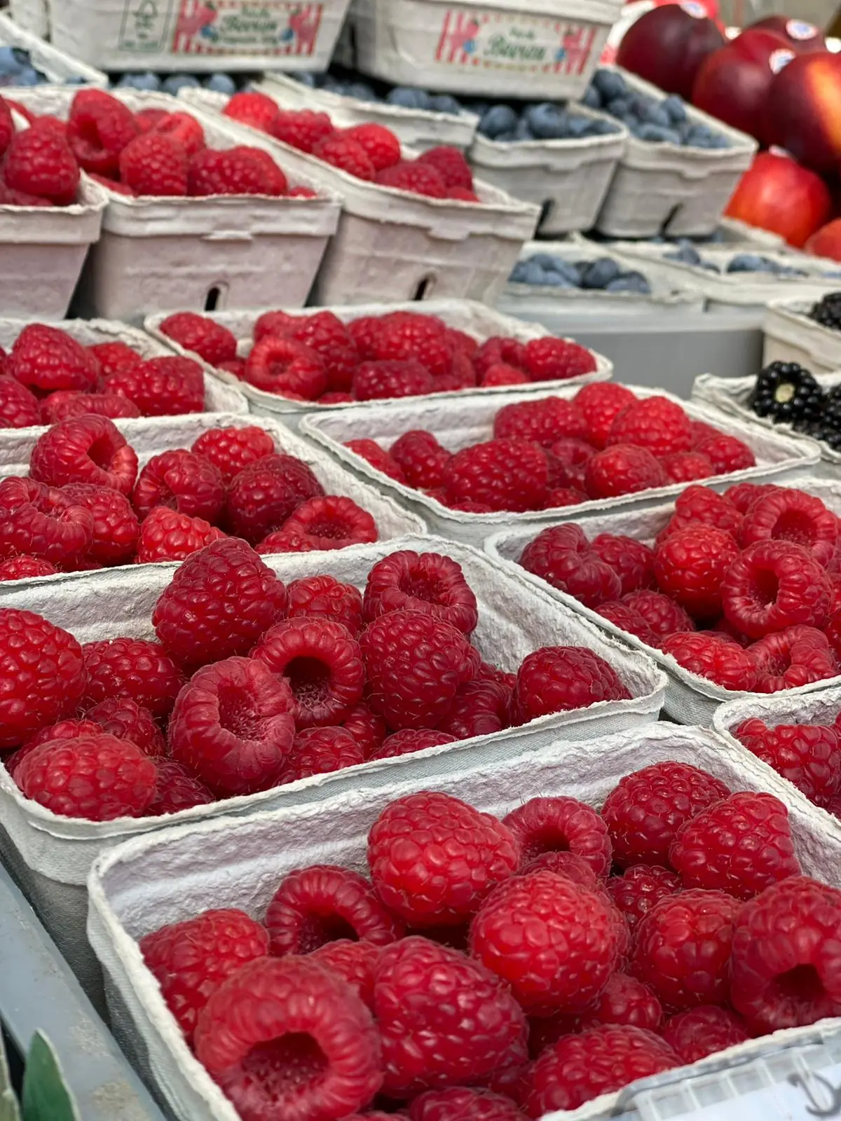 Himbeeren fruchtig-süß Deutschland – Bild 2