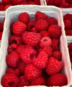 Himbeeren fruchtig-süß Deutschland