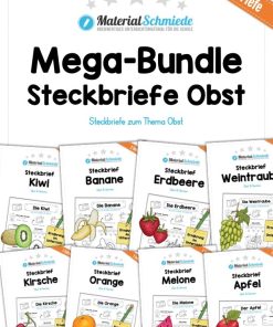 Mega-Bundle: Steckbriefe Obst (14 Steckbriefe) [Digital]