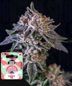 Pappy OG – House of Seeds