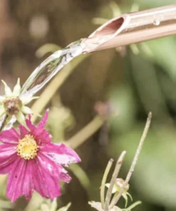 Kupfergießkanne „Minkar“