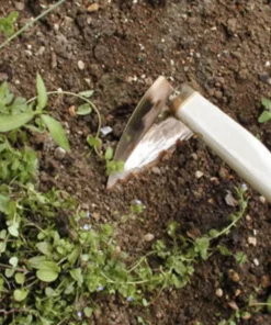 Feldhaue spitz „Sirius“