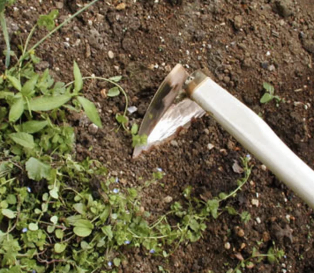 Feldhaue spitz „Sirius“