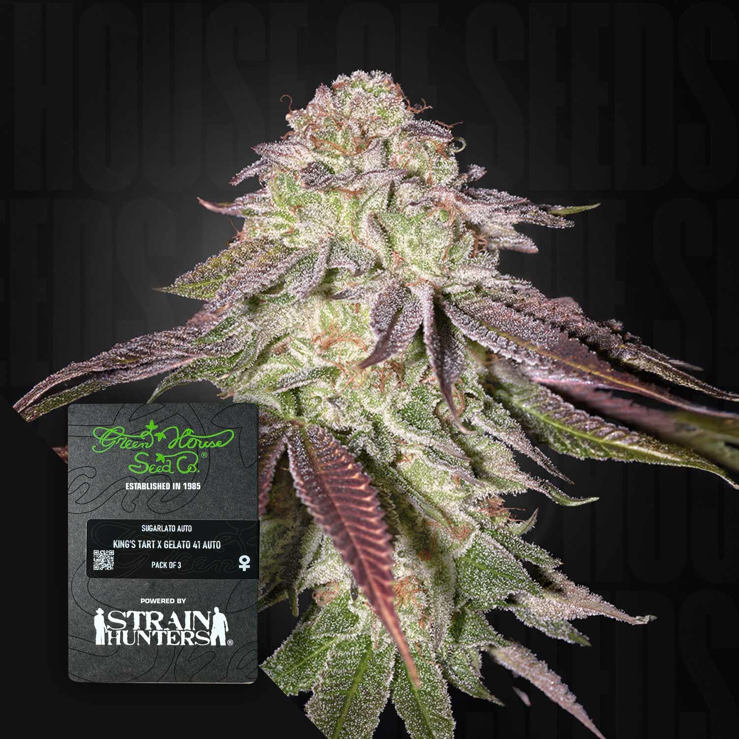 Sugarlato Auto – House of Seeds