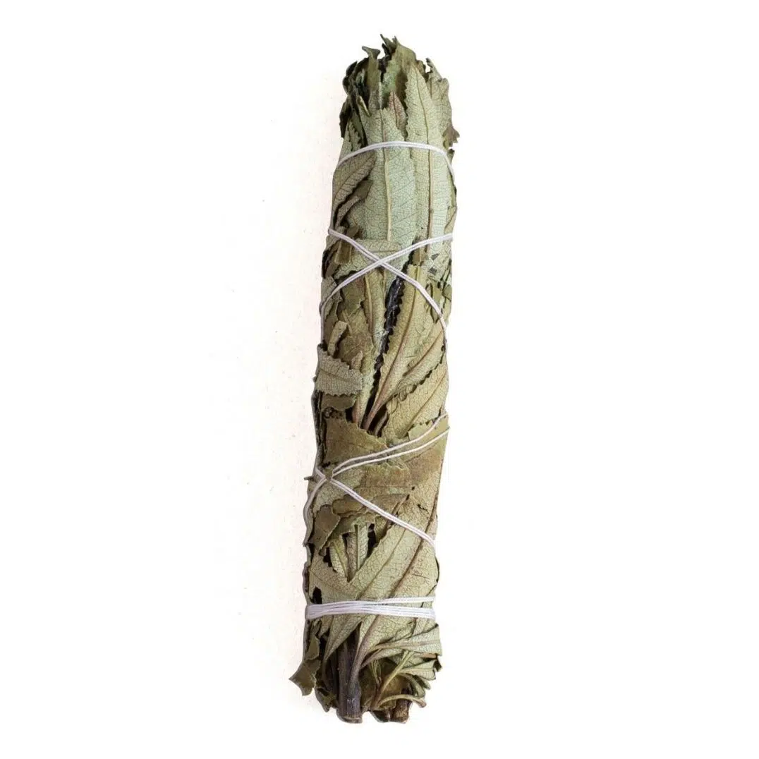 Räucherwerk Yerba Santa Smudge Stick